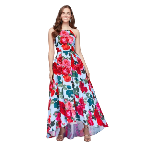 High neck, High and Low Gown